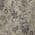Brown color or pattern variation