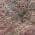 Pink color or pattern variation