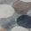 Blue color or pattern variation