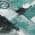 Teal color or pattern variation