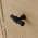 Oak-Matte Black Handle color or pattern variation