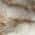 GRADIENT TAN color or pattern variation