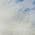Navy color or pattern variation