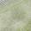 Olive color or pattern variation