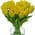 Yellow color or pattern variation