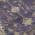 Purple color or pattern variation