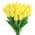 Yellow color or pattern variation