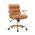 Saddle Brown