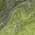 Green color or pattern variation
