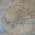 Taupe color or pattern variation