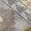 Gray color or pattern variation
