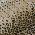 Brown color or pattern variation