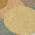 Gold color or pattern variation