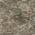 Brown color or pattern variation