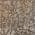 Chocolate color or pattern variation