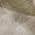 Taupe color or pattern variation