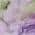 Purple color or pattern variation