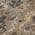 Brown color or pattern variation