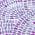 Purple color or pattern variation