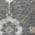 Gray color or pattern variation