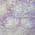 Purple color or pattern variation