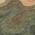 Olive color or pattern variation