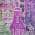 Purple color or pattern variation