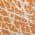 Orange color or pattern variation