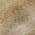 Beige color or pattern variation