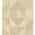 Beige color or pattern variation