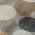 Taupe color or pattern variation