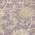 Purple color or pattern variation