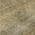 Wheat color or pattern variation