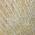 Wheat color or pattern variation