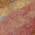 Orange color or pattern variation