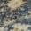 Navy color or pattern variation