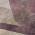 Plum color or pattern variation
