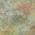Green color or pattern variation
