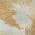 Coral color or pattern variation