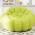 Lemon Green  (1 Chair) color or pattern variation