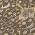 Chocolate color or pattern variation