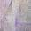 Purple color or pattern variation