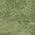 Olive color or pattern variation