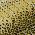 Gold color or pattern variation