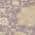 Purple color or pattern variation