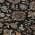 Black color or pattern variation