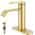 Brushed Gold color or pattern variation
