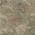 Brown color or pattern variation