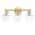 Gold color or pattern variation