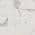 Carrara White color or pattern variation